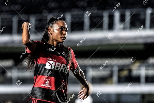 230224_Santos_3x0_Flamengo_Brasileiro_fotoDC_01 (256)-1.jpg
