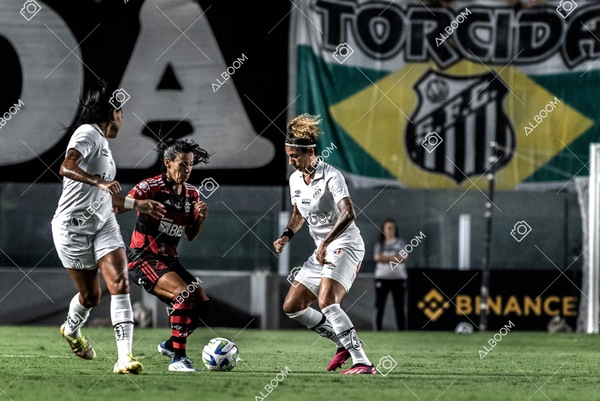 230224_Santos_3x0_Flamengo_Brasileiro_fotoDC_01 (352)-1.jpg