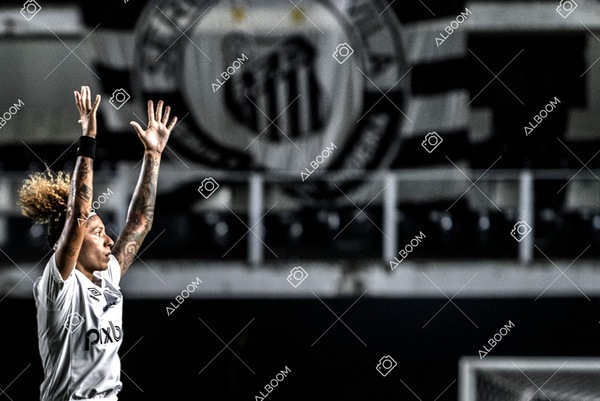 230224_Santos_3x0_Flamengo_Brasileiro_fotoDC_01 (615)-1.jpg
