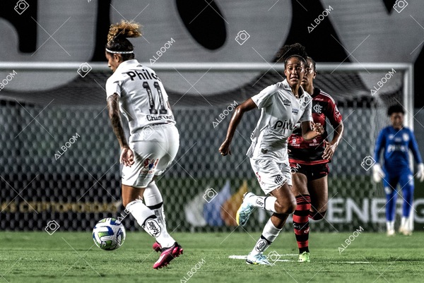 230224_Santos_3x0_Flamengo_Brasileiro_fotoDC_01 (351)-1.jpg