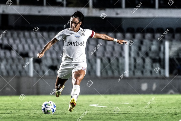 230224_Santos_3x0_Flamengo_Brasileiro_fotoDC_01 (648)-1.jpg