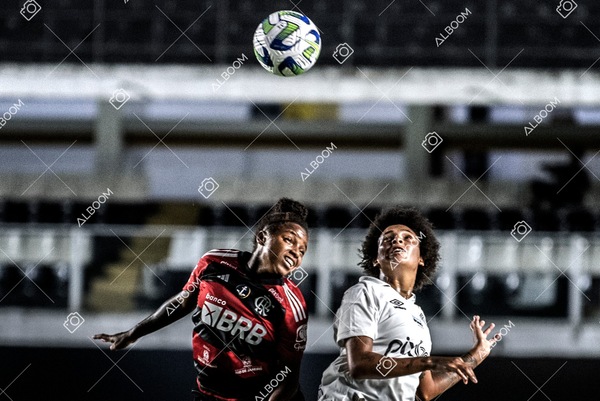 230224_Santos_3x0_Flamengo_Brasileiro_fotoDC_01 (702)-1.jpg