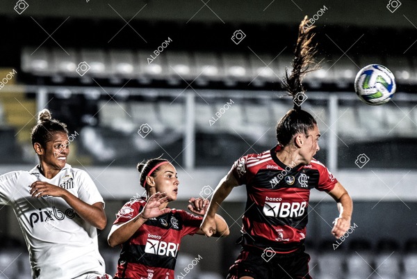 230224_Santos_3x0_Flamengo_Brasileiro_fotoDC_01 (773)-1.jpg