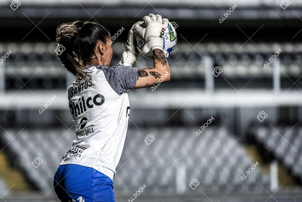 230224_Santos_3x0_Flamengo_Brasileiro_fotoDC_01 (81)-1.jpg