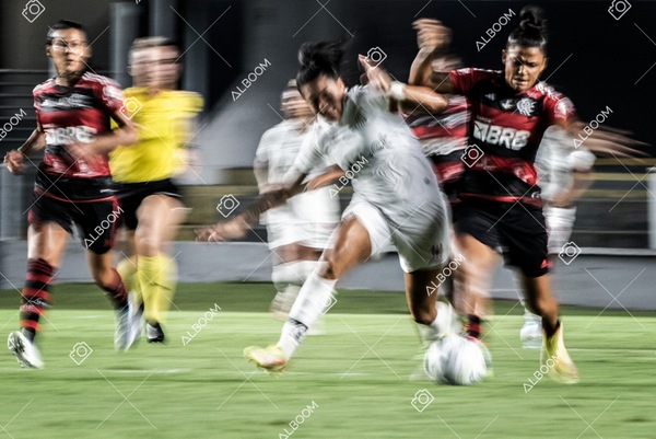 230224_Santos_3x0_Flamengo_Brasileiro_fotoDC_01 (733)-1.jpg