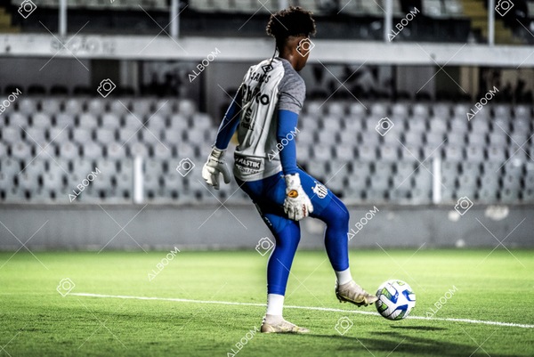 230224_Santos_3x0_Flamengo_Brasileiro_fotoDC_01 (91)-1.jpg