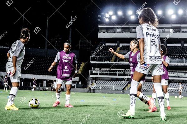 230224_Santos_3x0_Flamengo_Brasileiro_fotoDC_01 (2)-1.jpg