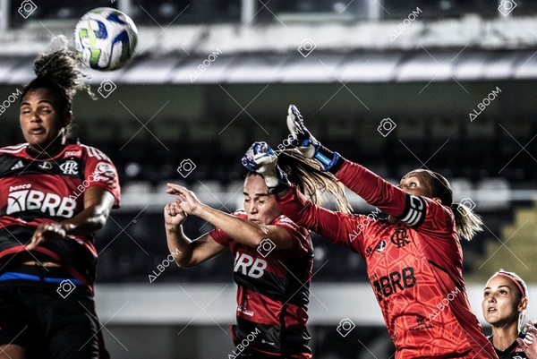 230224_Santos_3x0_Flamengo_Brasileiro_fotoDC_01 (226)-1_.jpg