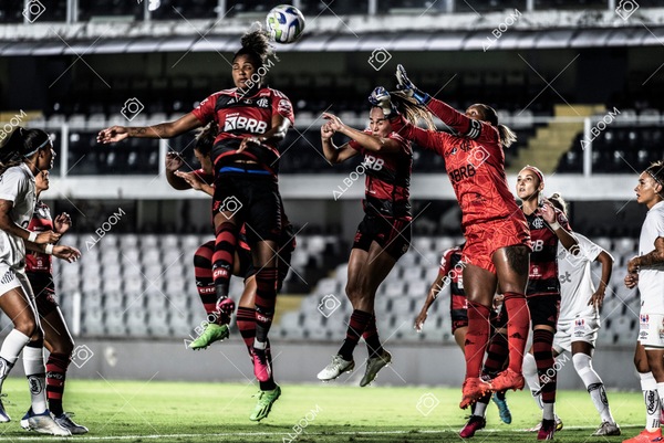 230224_Santos_3x0_Flamengo_Brasileiro_fotoDC_01 (226)-1.jpg