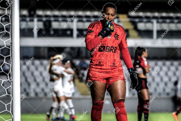 230224_Santos_3x0_Flamengo_Brasileiro_fotoDC_01 (601)-1.jpg