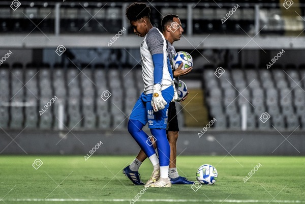 230224_Santos_3x0_Flamengo_Brasileiro_fotoDC_01 (72)-1.jpg