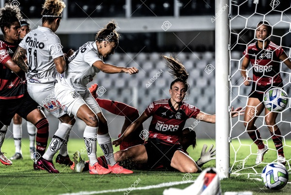 230224_Santos_3x0_Flamengo_Brasileiro_fotoDC_01 (473)-1.jpg
