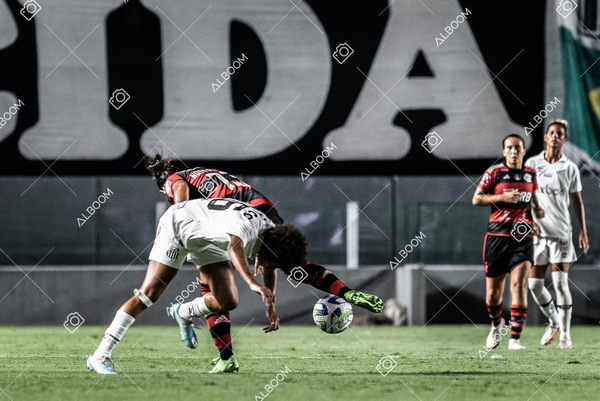 230224_Santos_3x0_Flamengo_Brasileiro_fotoDC_01 (360)-1.jpg