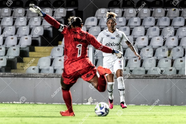 230224_Santos_3x0_Flamengo_Brasileiro_fotoDC_01 (276)-1.jpg