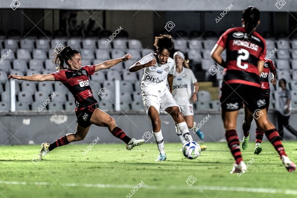230224_Santos_3x0_Flamengo_Brasileiro_fotoDC_01 (687)-1.jpg