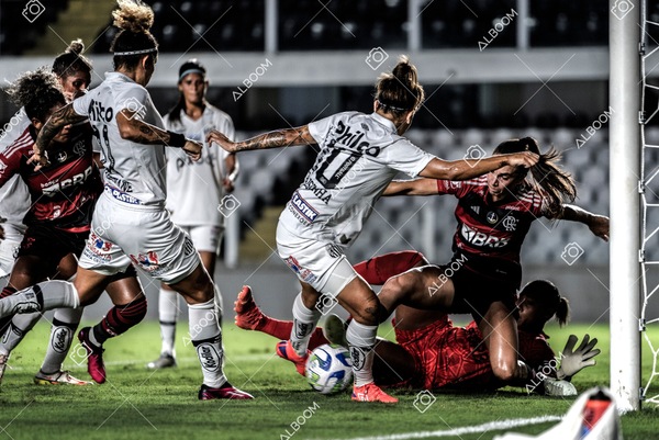 230224_Santos_3x0_Flamengo_Brasileiro_fotoDC_01 (472)-1.jpg