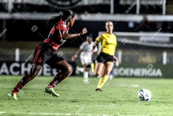 230224_Santos_3x0_Flamengo_Brasileiro_fotoDC_01 (776)-1.jpg