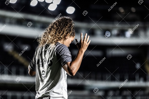 230224_Santos_3x0_Flamengo_Brasileiro_fotoDC_01 (106)-1.jpg