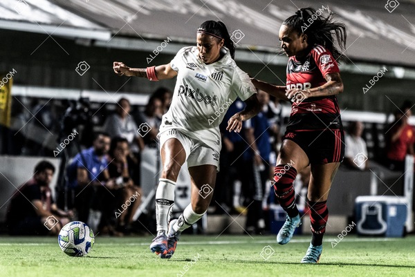 230224_Santos_3x0_Flamengo_Brasileiro_fotoDC_01 (412)-1.jpg