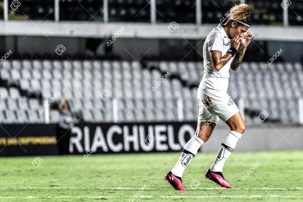 230224_Santos_3x0_Flamengo_Brasileiro_fotoDC_01 (611)-1.jpg