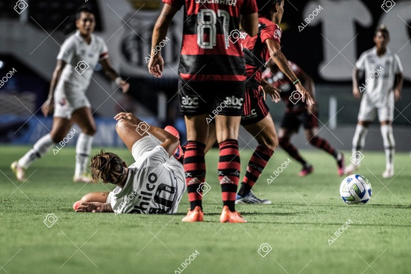 230224_Santos_3x0_Flamengo_Brasileiro_fotoDC_01 (273)-1.jpg
