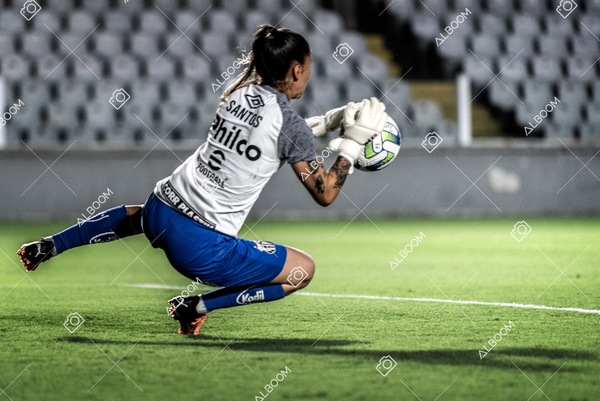 230224_Santos_3x0_Flamengo_Brasileiro_fotoDC_01 (93)-1.jpg