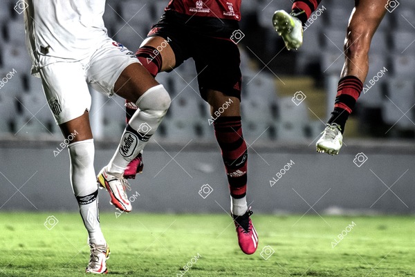 230224_Santos_3x0_Flamengo_Brasileiro_fotoDC_01 (772)-1.jpg
