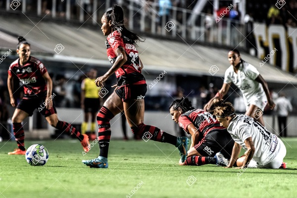 230224_Santos_3x0_Flamengo_Brasileiro_fotoDC_01 (253)-1.jpg