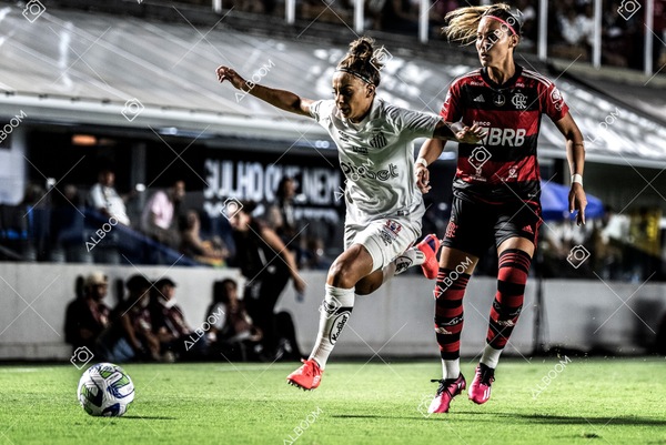 230224_Santos_3x0_Flamengo_Brasileiro_fotoDC_01 (289)-1.jpg