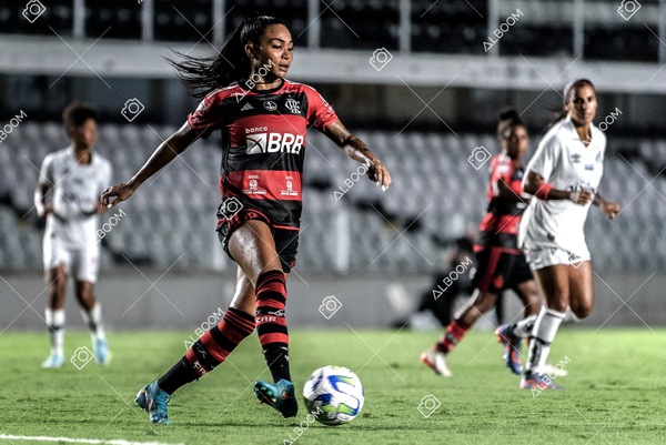 230224_Santos_3x0_Flamengo_Brasileiro_fotoDC_01 (747)-1.jpg