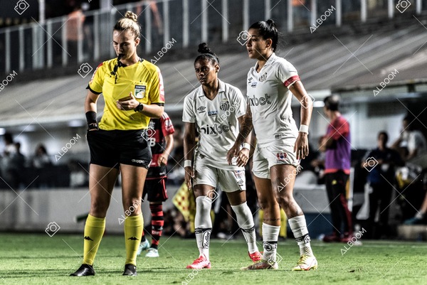230224_Santos_3x0_Flamengo_Brasileiro_fotoDC_01 (770)-1.jpg
