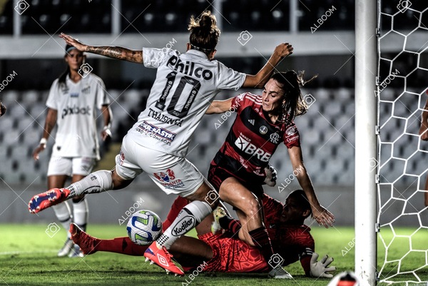 230224_Santos_3x0_Flamengo_Brasileiro_fotoDC_01 (471)-1.jpg
