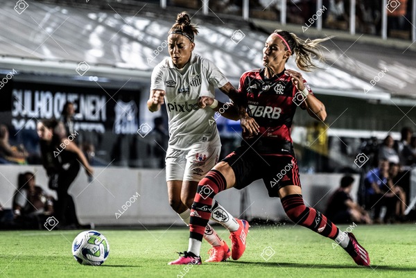 230224_Santos_3x0_Flamengo_Brasileiro_fotoDC_01 (288)-1.jpg