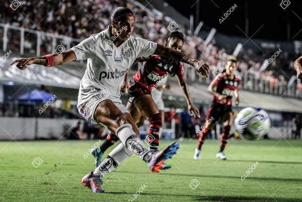230224_Santos_3x0_Flamengo_Brasileiro_fotoDC_01 (421)-1.jpg