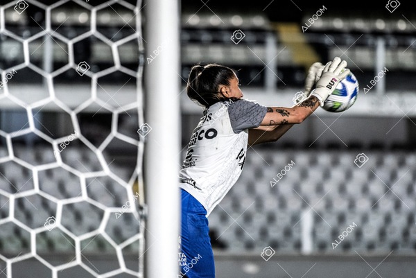 230224_Santos_3x0_Flamengo_Brasileiro_fotoDC_01 (96)-1.jpg