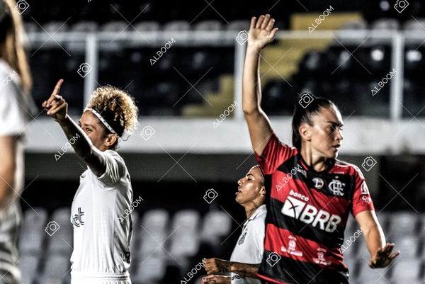 230224_Santos_3x0_Flamengo_Brasileiro_fotoDC_01 (193)-1.jpg