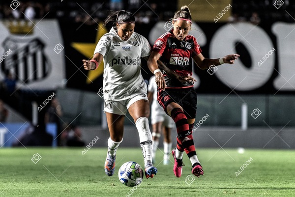 230224_Santos_3x0_Flamengo_Brasileiro_fotoDC_01 (241)-1.jpg
