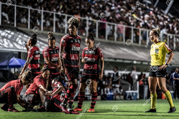 230224_Santos_3x0_Flamengo_Brasileiro_fotoDC_01 (450)-1.jpg