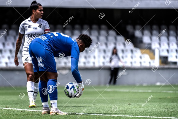 230312_Santos_1x0_Ferroviária_Brasileirão_foto Dennis Calçada_01 (221)-1.jpg