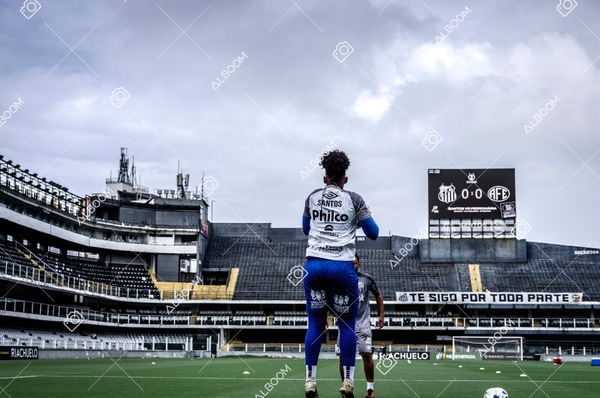 230312_Santos_1x0_Ferroviária_Brasileirão_foto Dennis Calçada_01 (860)-1.jpg