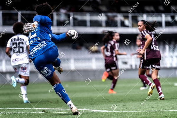 230312_Santos_1x0_Ferroviária_Brasileirão_foto Dennis Calçada_01 (247)-1.jpg
