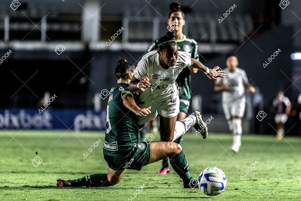 230327_Santos_1x1_Palmeiras)Brasileirão_foto Dennis Calçada 01 (658)-1.jpg