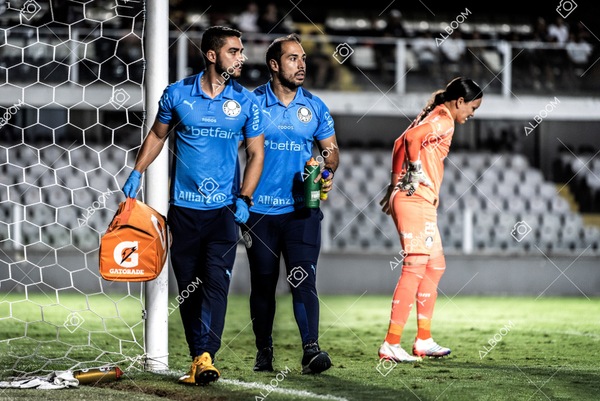 230327_Santos_1x1_Palmeiras)Brasileirão_foto Dennis Calçada 01 (533)-1.jpg