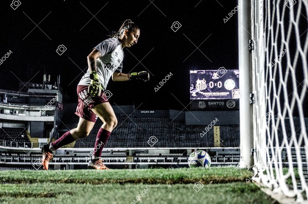 230327_Santos_1x1_Palmeiras)Brasileirão_foto Dennis Calçada 01 (789)-1.jpg