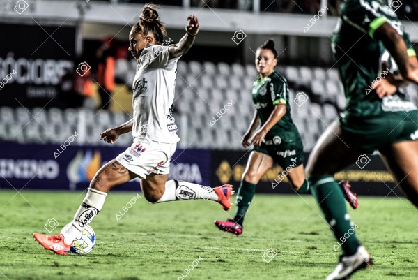 230327_Santos_1x1_Palmeiras)Brasileirão_foto Dennis Calçada 01 (600)-1.jpg