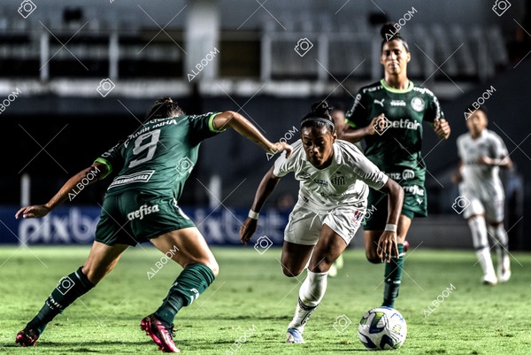 230327_Santos_1x1_Palmeiras)Brasileirão_foto Dennis Calçada 01 (656)-1.jpg