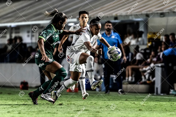 230327_Santos_1x1_Palmeiras)Brasileirão_foto Dennis Calçada 01 (501)-1.jpg
