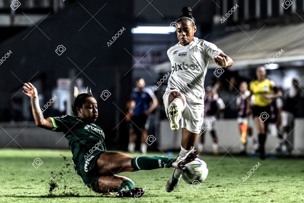 230327_Santos_1x1_Palmeiras)Brasileirão_foto Dennis Calçada 01 (700)-1.jpg