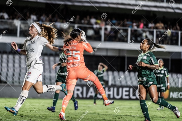 230327_Santos_1x1_Palmeiras)Brasileirão_foto Dennis Calçada 01 (578)-1.jpg
