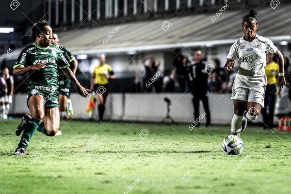 230327_Santos_1x1_Palmeiras)Brasileirão_foto Dennis Calçada 01 (611)-1.jpg